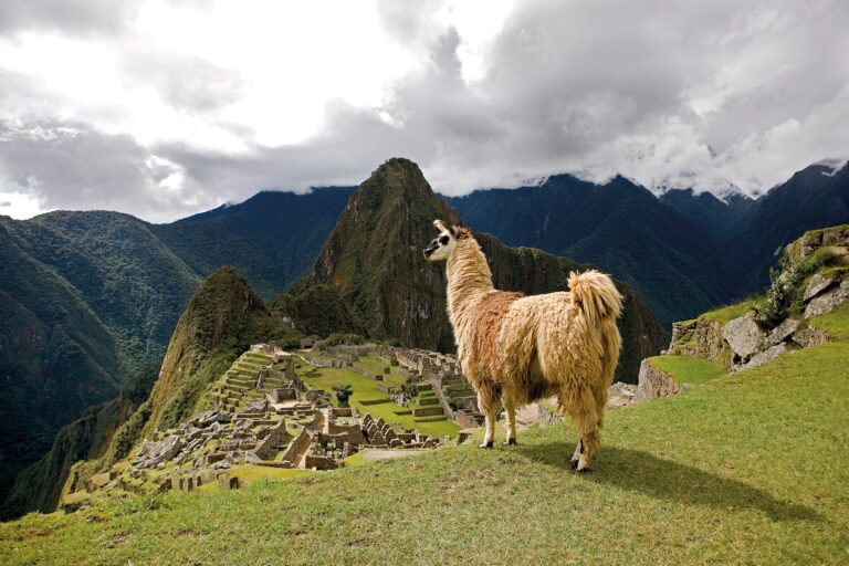 Tour Machu Picchu Full Day
